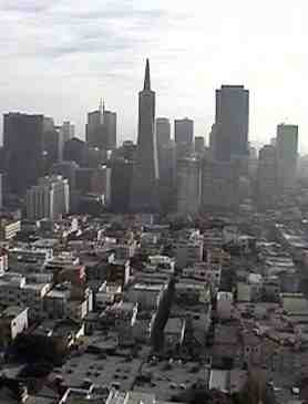 A photo taken from the top of Coit Tower.