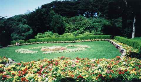 Large flower bed