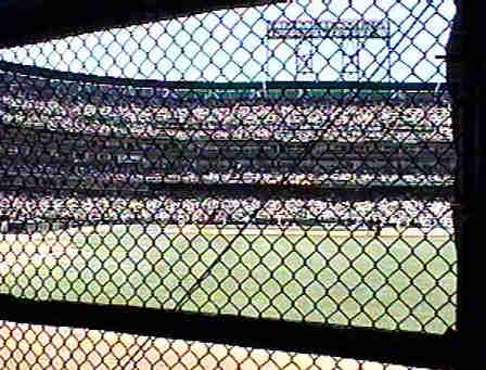 Looking through the fence at SBC Park