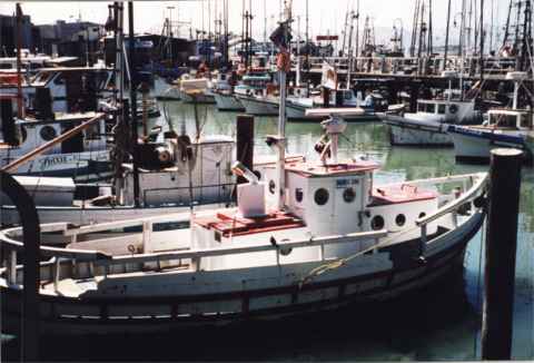 Charter boats at Fishermans Wharf