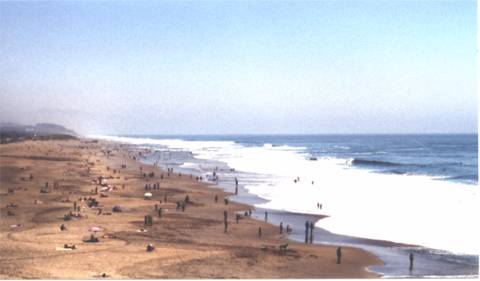 Ocean Beach looking south