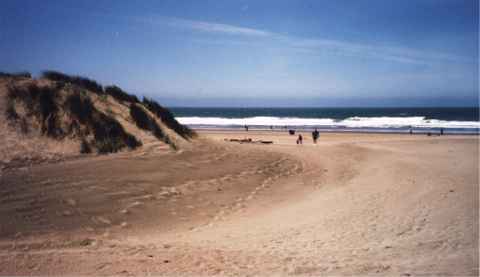 The sand dunes