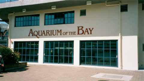 Pier 39 Aquarium of the Bay
